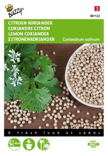 Coriander LEMON Herb Seeds